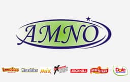 Амно ХХК