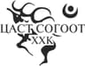 Цаст согоот ХХК