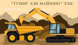 Түшиг Ази Майнинг ХХК